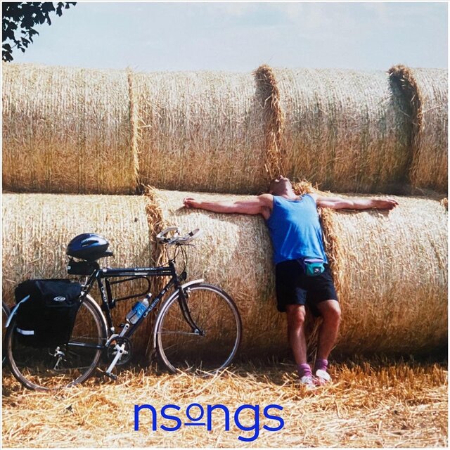 NSoNGS