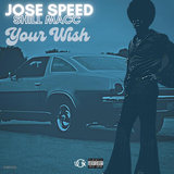 Your Wish