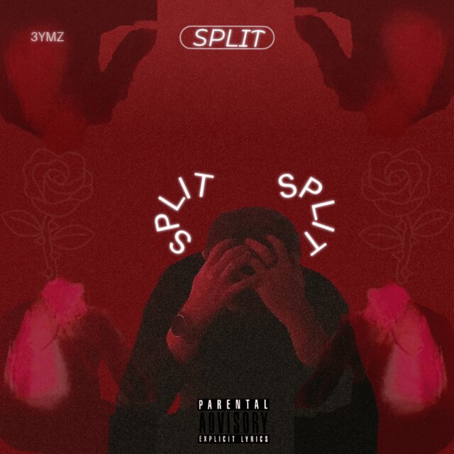 SPLIT