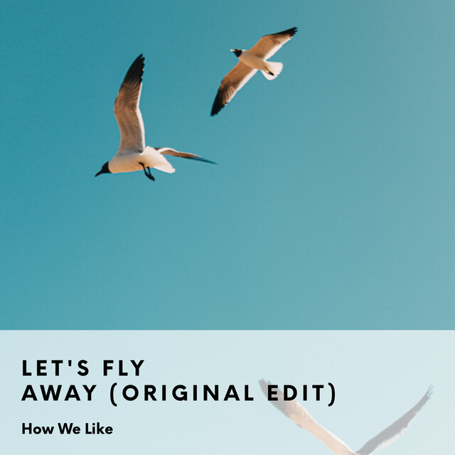 Let's Fly Away (Original Edit)