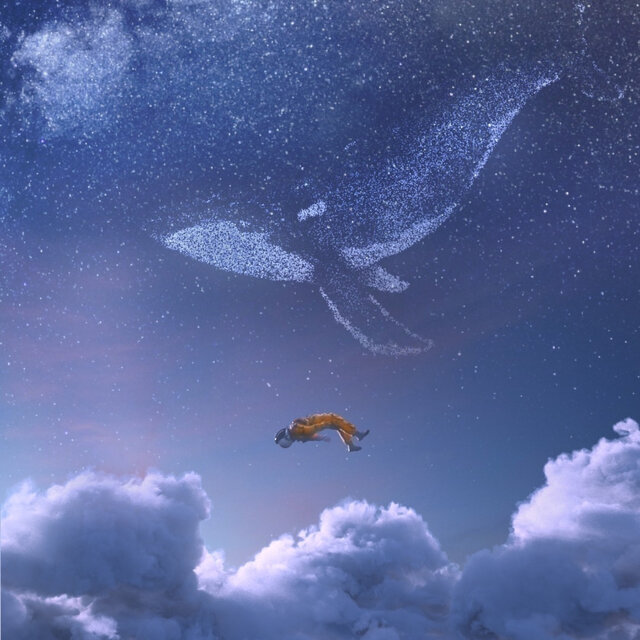Soaring 2