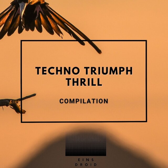 Techno Triumph Thrill