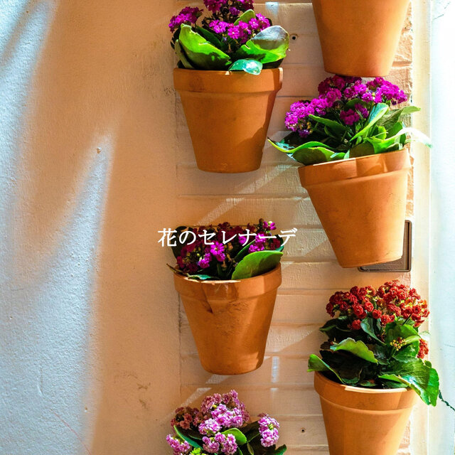 花のセレナーデ