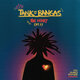 Cover art for album The Heart by Tank and The Bangas