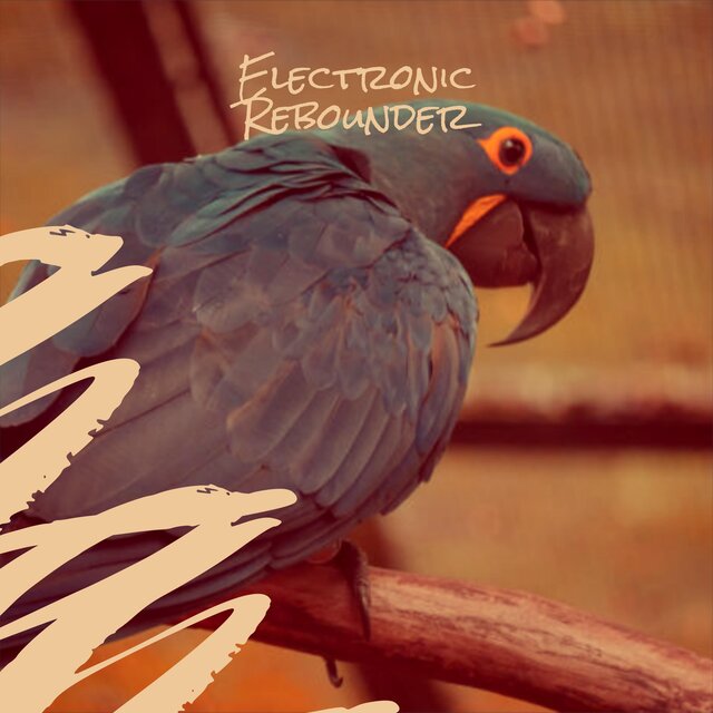 Electronic Rebounder