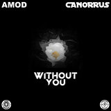 Without You