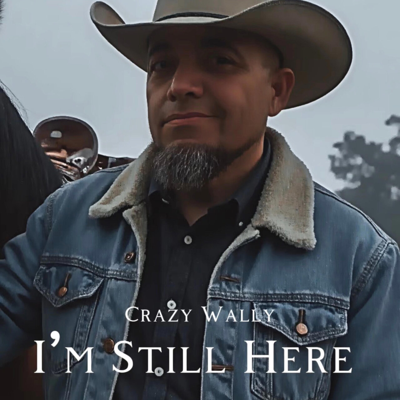 Wallaby Rapper TIDAL - High Fidelity Music Streaming