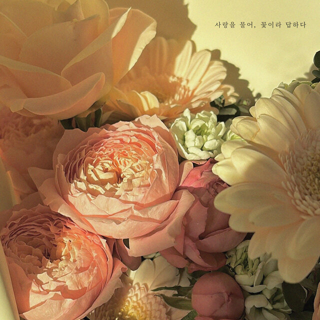 사랑을 물어, 꽃이라 답하다