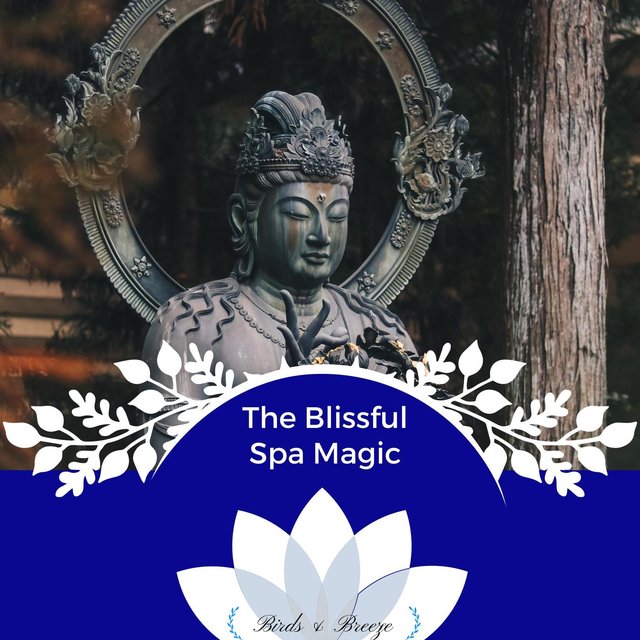 The Blissful Spa Magic