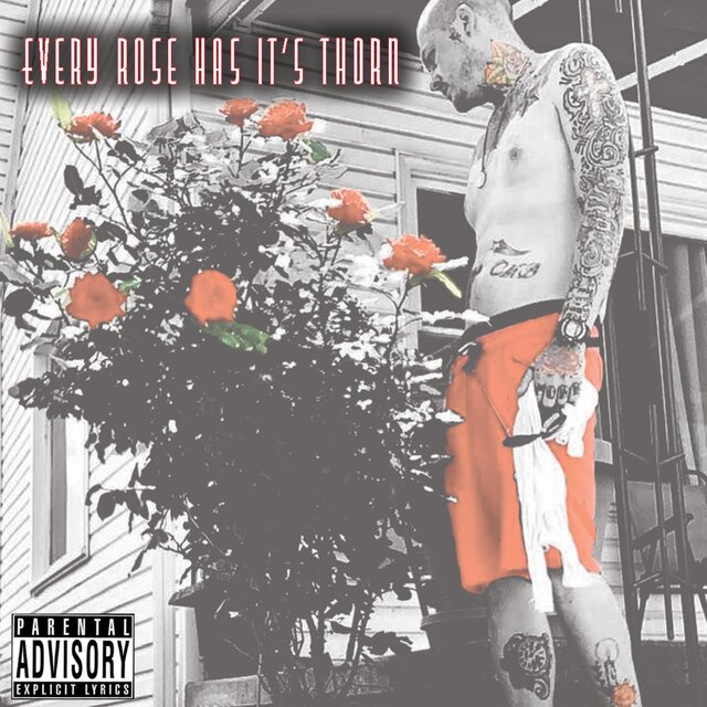 Every Rose Has It's Thorn