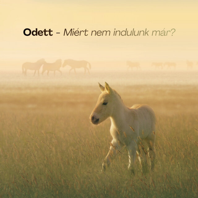 Miért nem indulunk már?
