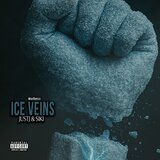 ICE VEINS