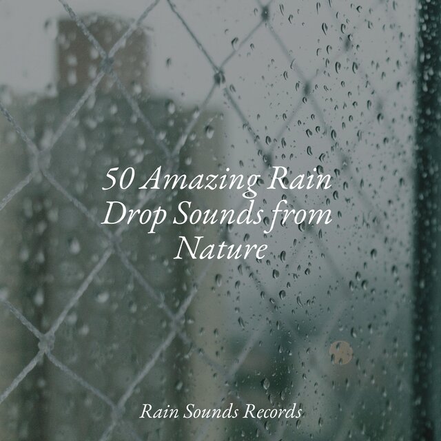 50 Amazing Rain Drop Sounds from Nature
