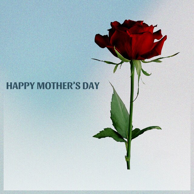 Happy Mother's Day (2025 Version)