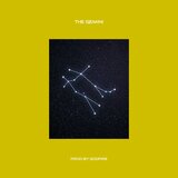THE GEMINI