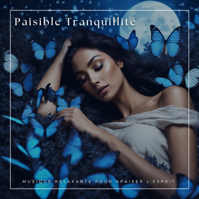 Paisible Tranquillité: Musique Relaxante pour Apaiser l'Esprit