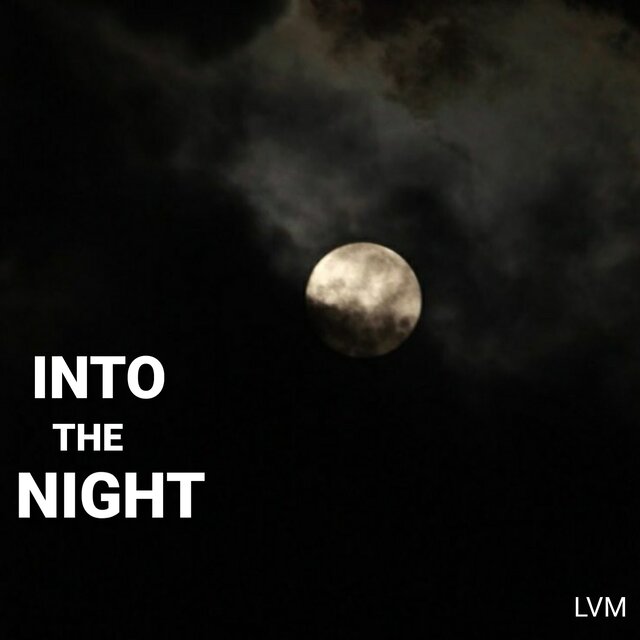 INTO THE NIGHT