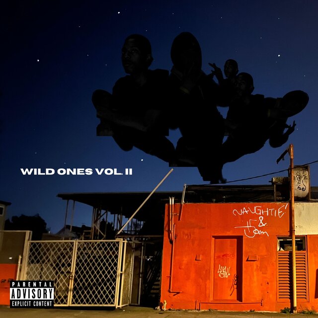 Wild Ones, Vol. 2