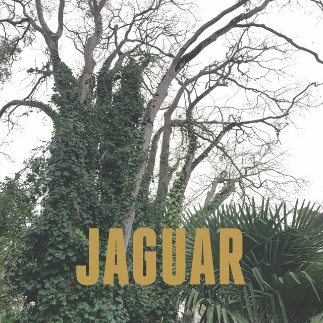 Jaguar