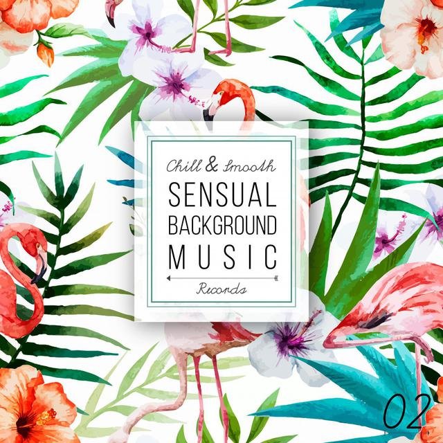 Sensual Background Music, Vol. 2