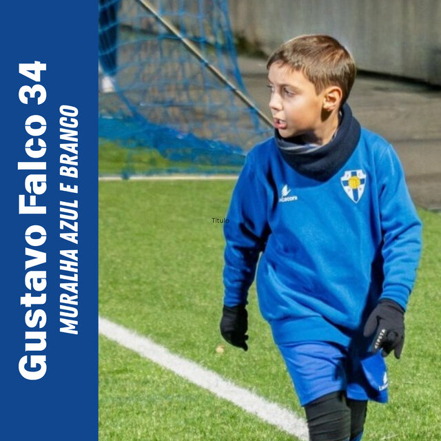 Gustavo Falco 34 Muralha Azul e Branco