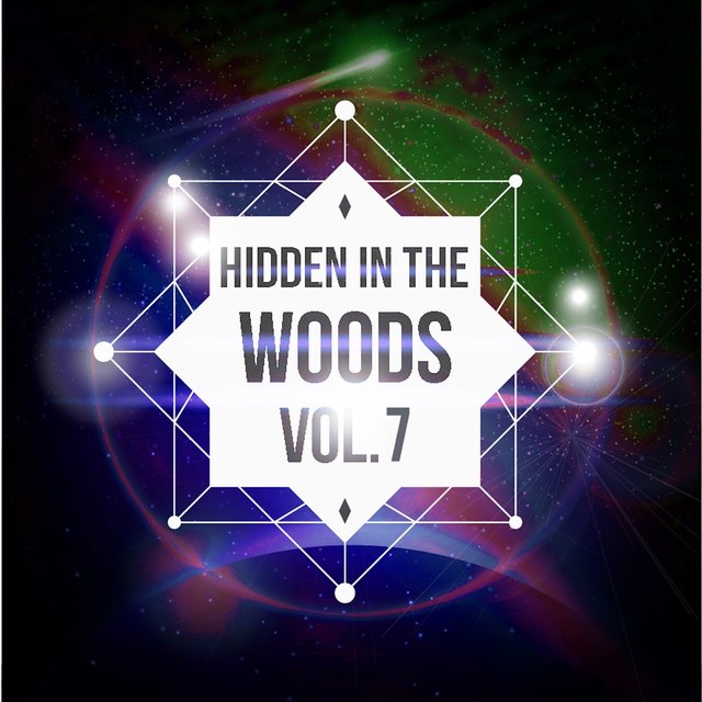 Hidden In The Woods Vol..7