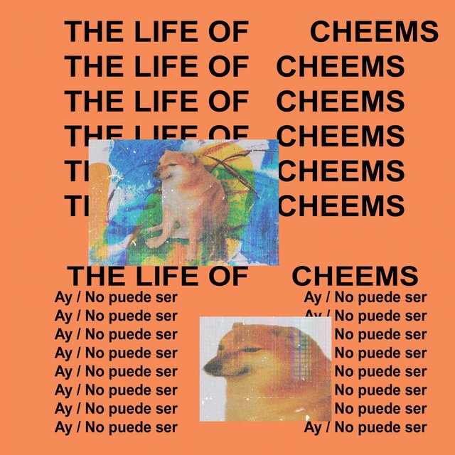 The life of Cheems