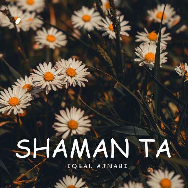 Shaman Ta