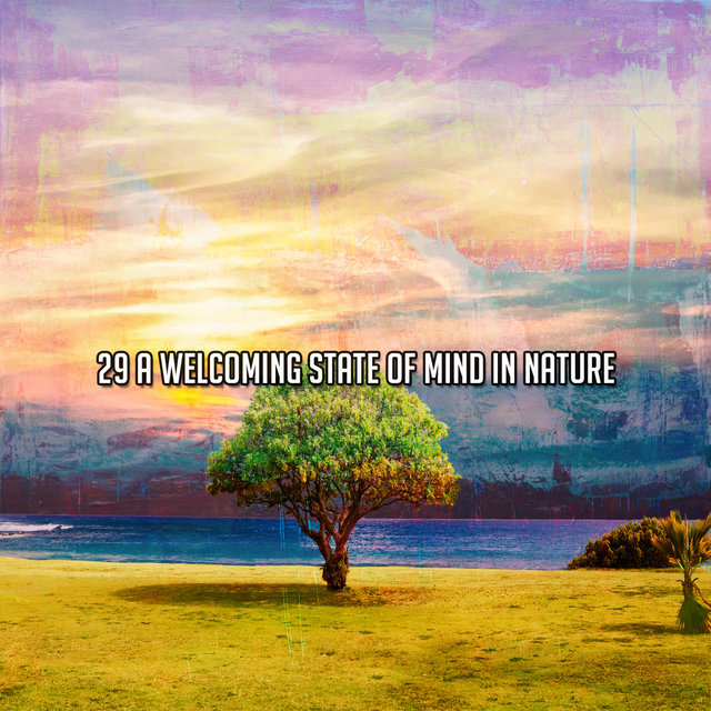 29 A Welcoming State Of Mind In Nature
