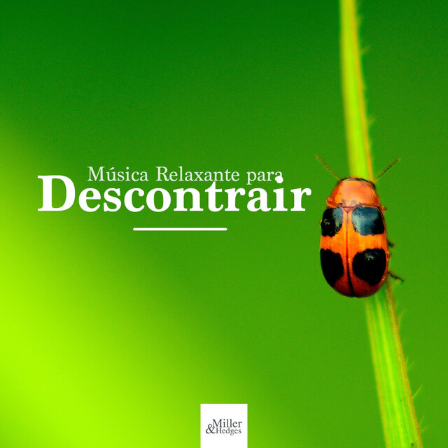 Música Relaxante para Descontrair - Trabalhar, Acalmar a Mente, Estudar