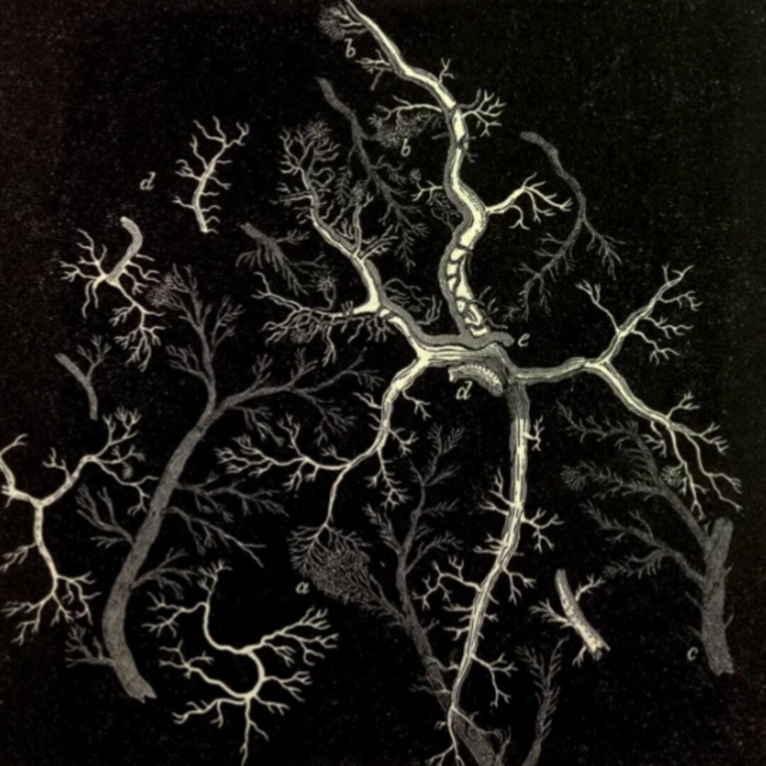 rusty mix #185 cover art