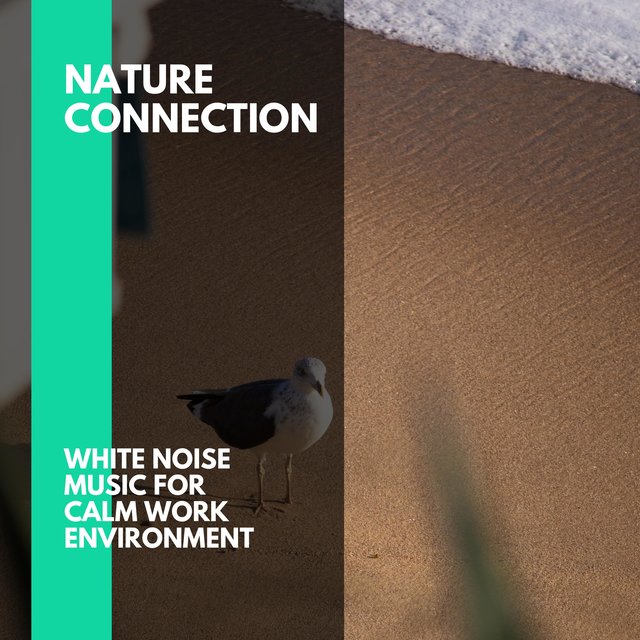 Nature Connection - White Noise Music for Calm Work Environment