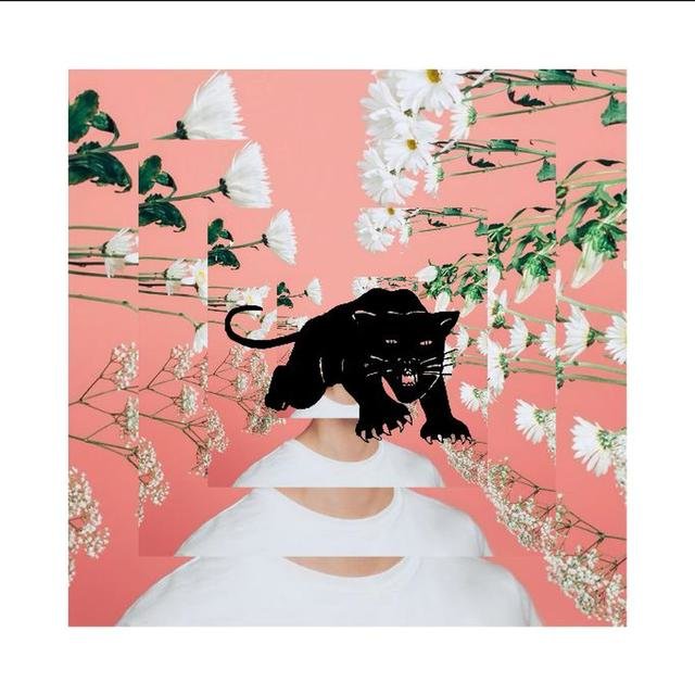 Fiona Coyne (feat. Pell) [Remix]