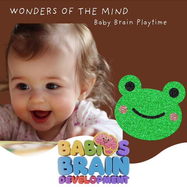 Wonders of the Mind: Baby Brain Playtime