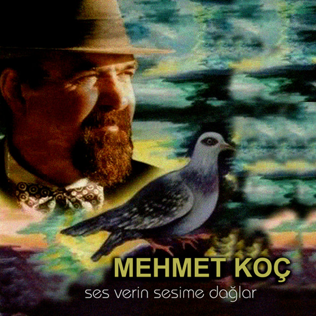 Ses Verin Sesime Dağlar