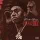 Cover art for album Pain Made Me Numb by Fredo Bang