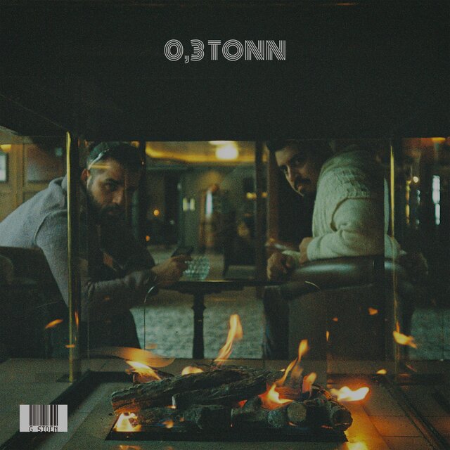 0,3 TONN