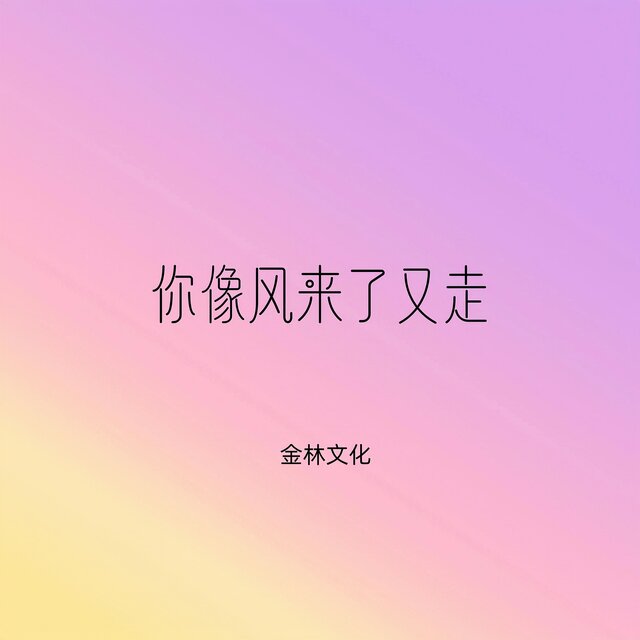 你像風來了又走