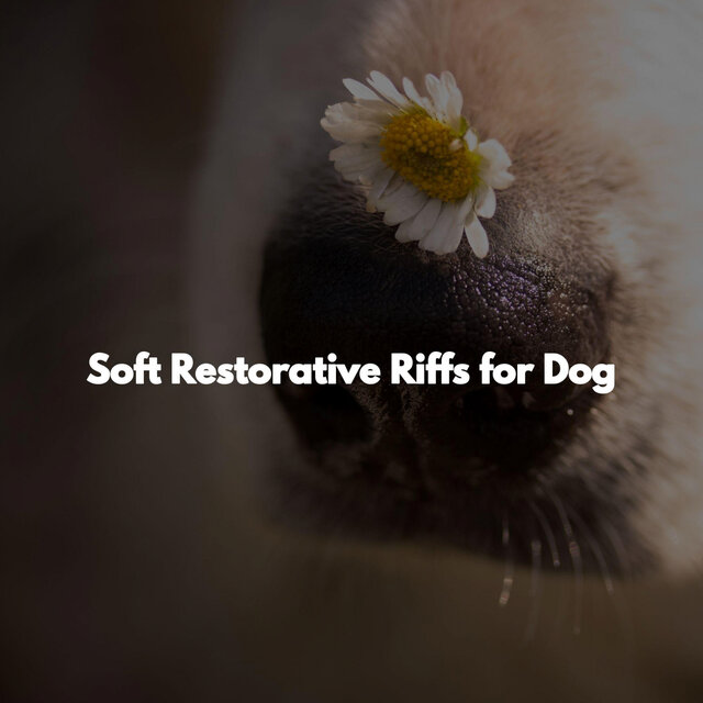Soft Restorative Riffs for Dog