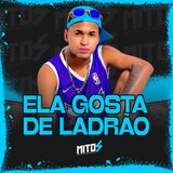 Ela Gosta De Ladrão