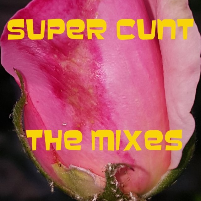 Super Cunt (The Mixes)