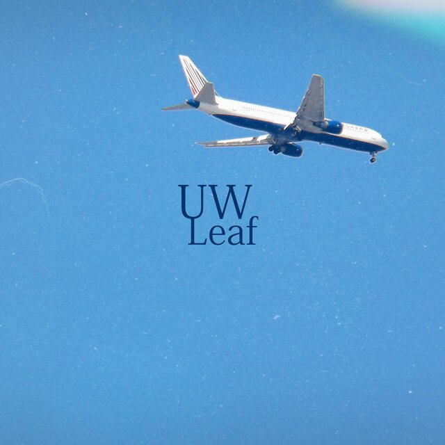 Leaf