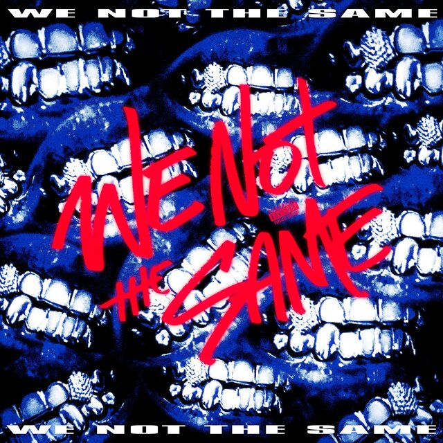 WE NOT THE SAME
