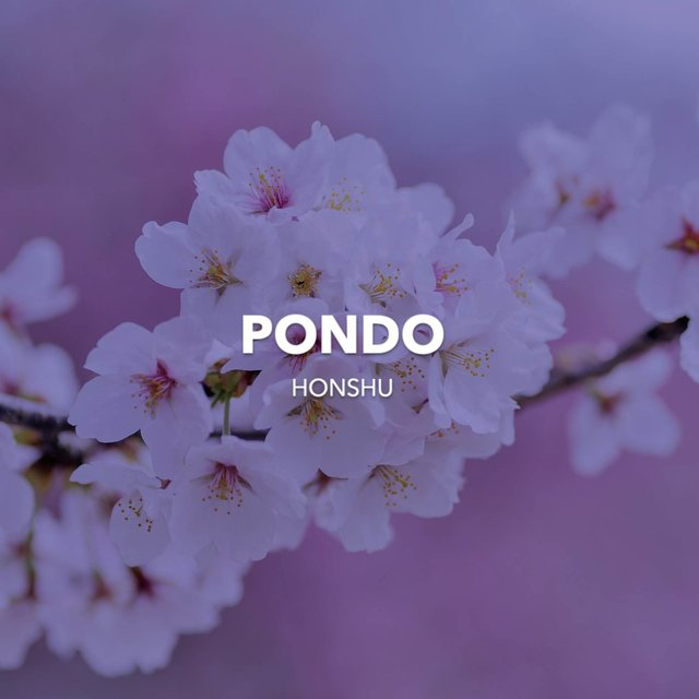 Honshu