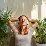 La Música De Mentes Pacíficas