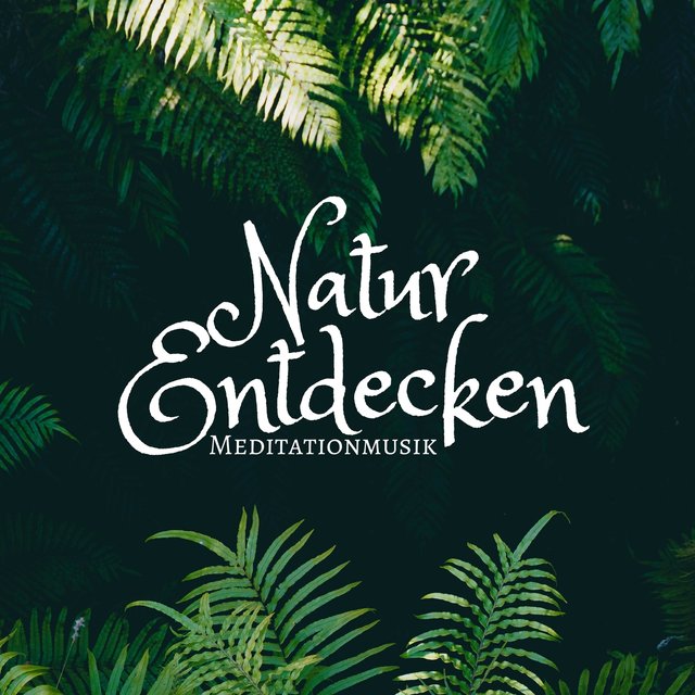 Natur Entdecken - Meditationmusik, Musik zum Entspannen, Abendessen