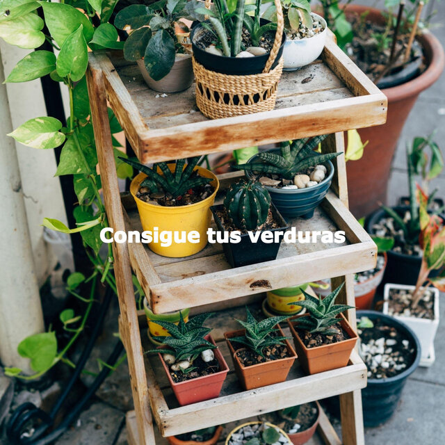 Consigue tus verduras