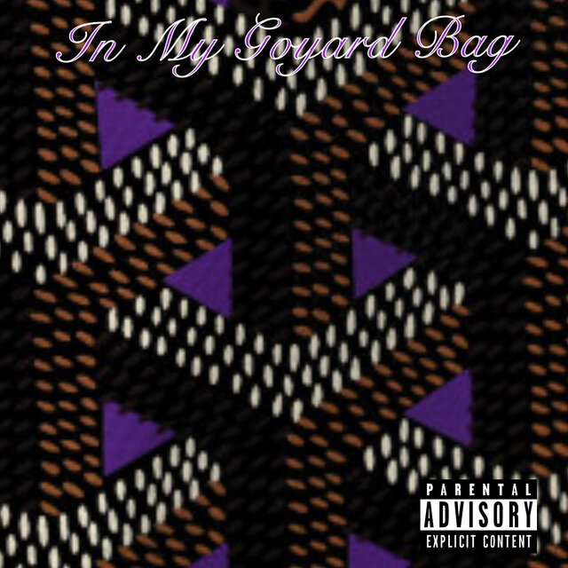 In My Goyard Bag