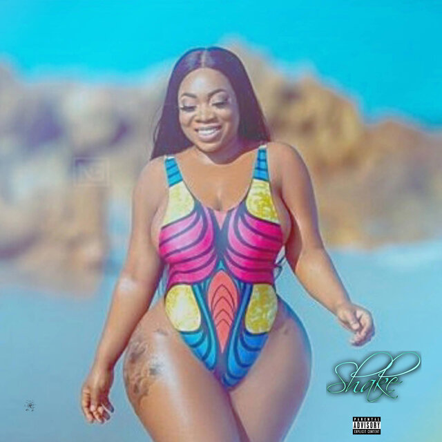 shake (feat. R2Bees)