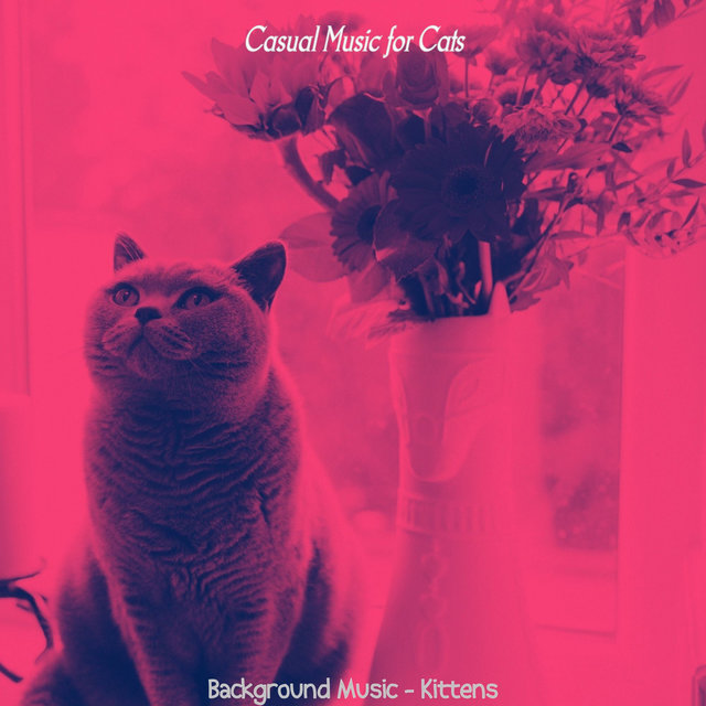 Background Music - Kittens